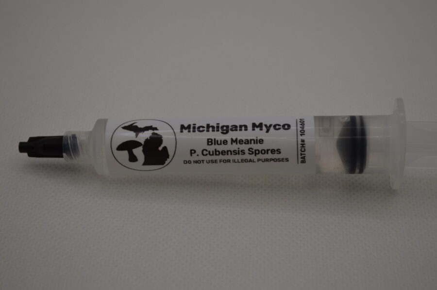 Blue Meanie Cubensis Spore Syringe