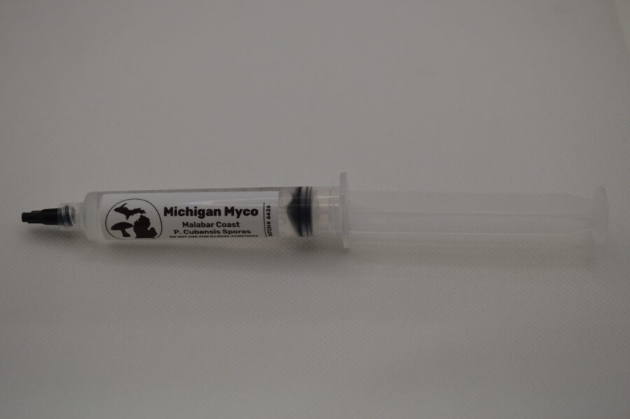 Malabar Coast Cubensis Spore Syringe