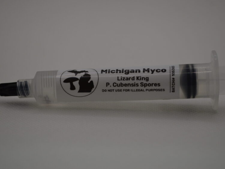 Lizard King Cubensis Spore Syringe