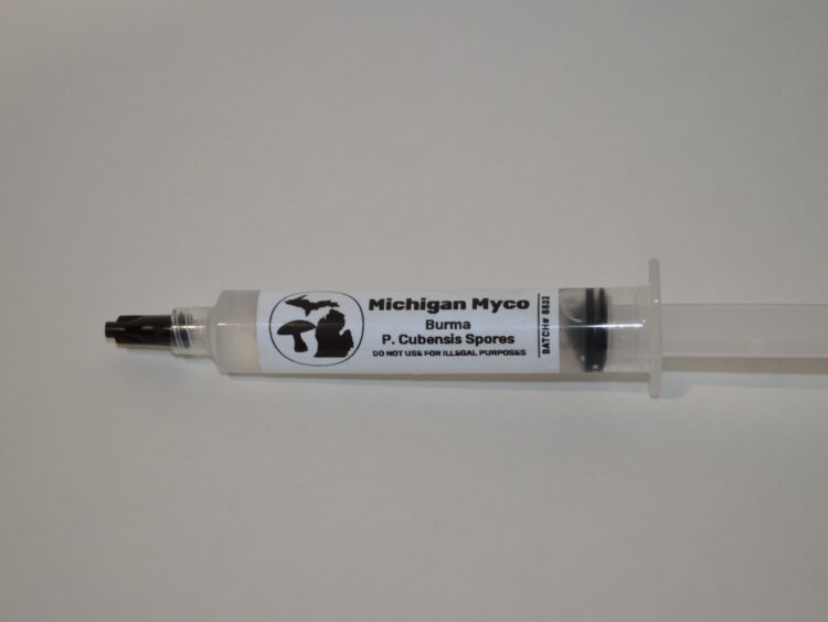 Burma Spore Syringe Close