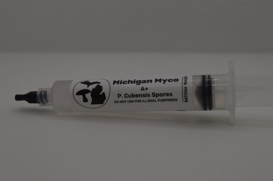 A+ Cubensis Spore Syringe