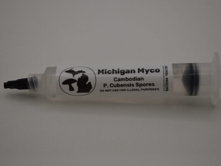 Cambodian Cubensis Spore Syringe