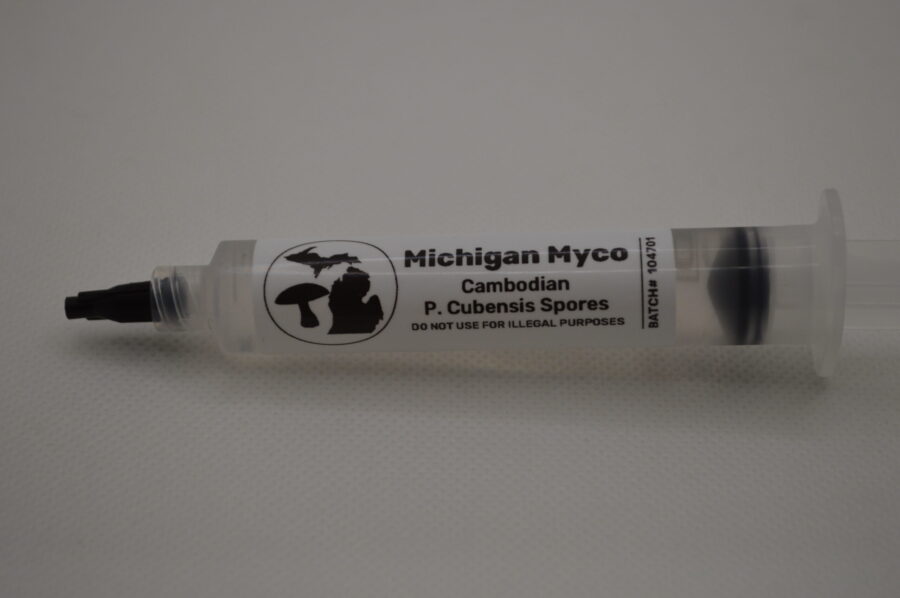 Cambodian Cubensis Spore Syringe